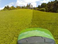 Lawn in progress small.jpg